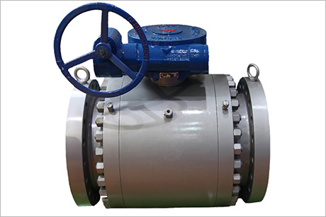 煤化(hua)工閥門(mén)