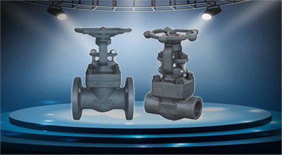 鍛鋼(gāng)閘閥 鍛鋼(gang)閘閥