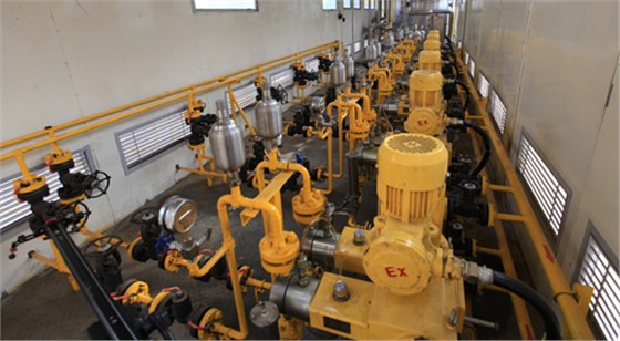 一體化注(zhu)醇注劑撬室内(nei) 一體化注醇注(zhu)劑撬室内