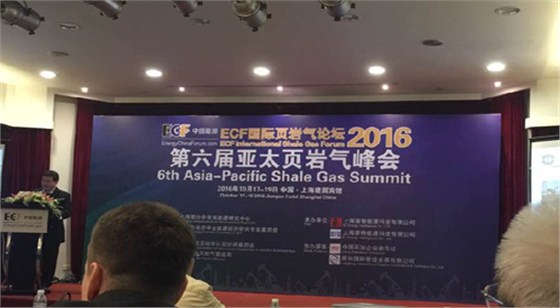 頁岩氣(qi)峰會 頁岩(yán)氣峰會