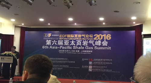 頁(ye)岩氣峰會 頁(ye)岩氣峰會