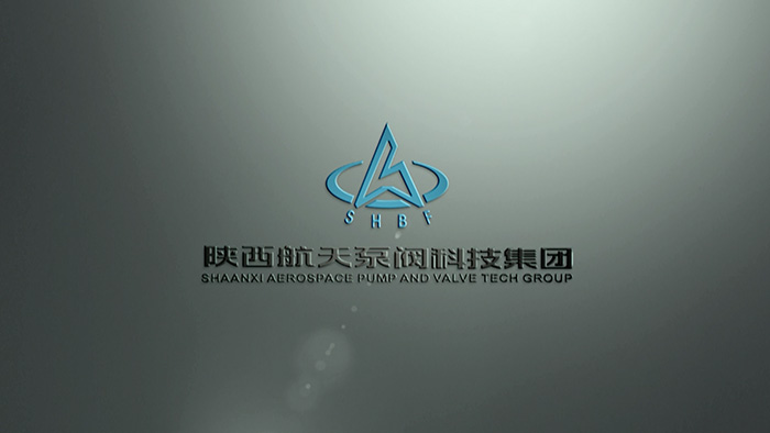 陝航(hang)泵閥 (1) 陝(shan)航泵閥(fa) (1)