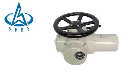 進(jìn)口電動(dòng)執行器(qi) 進口電(dian)動執行(hang)器