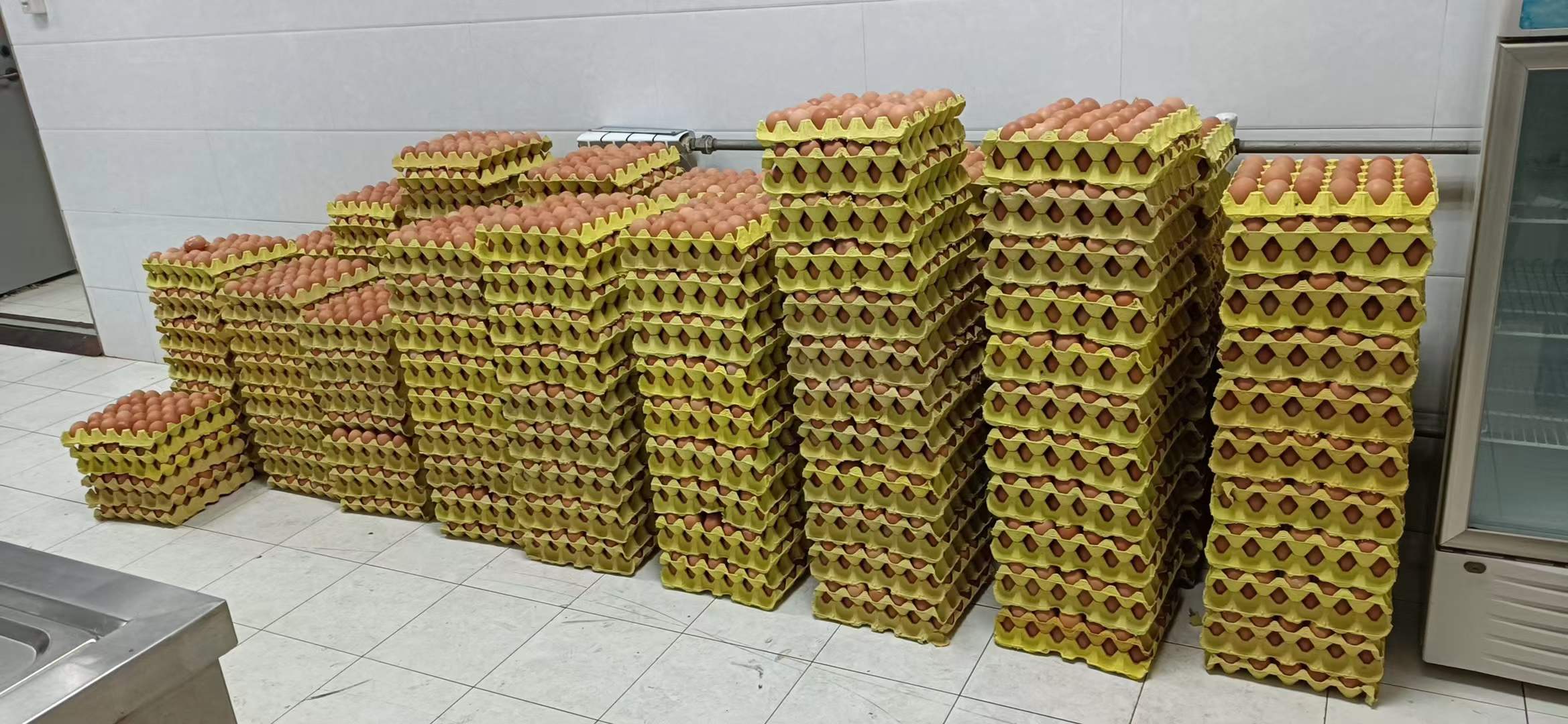 微信圖(tú)片_20211230140240 微信圖(tú)片_20211230140240