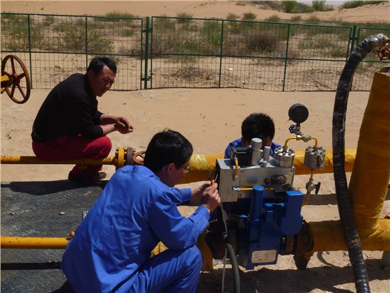 照(zhao)片 282 照片 282